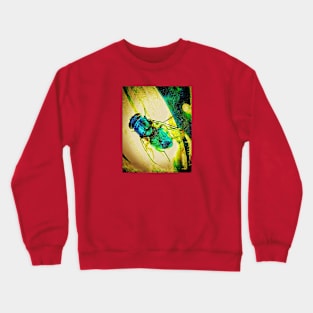 Blue Fly Crewneck Sweatshirt